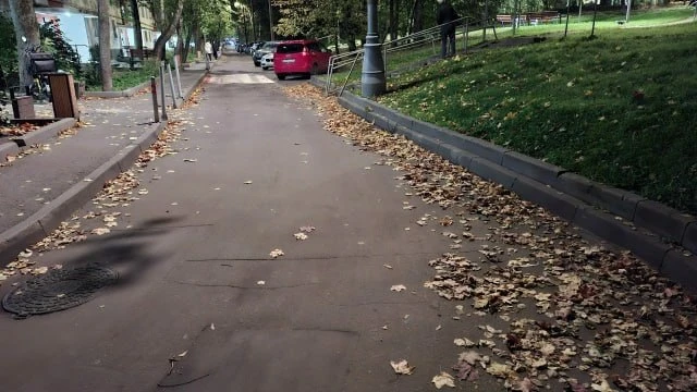 Сосед делится результатом уборки листвы с помощью воздуходувки. Как видно по фото, все ...