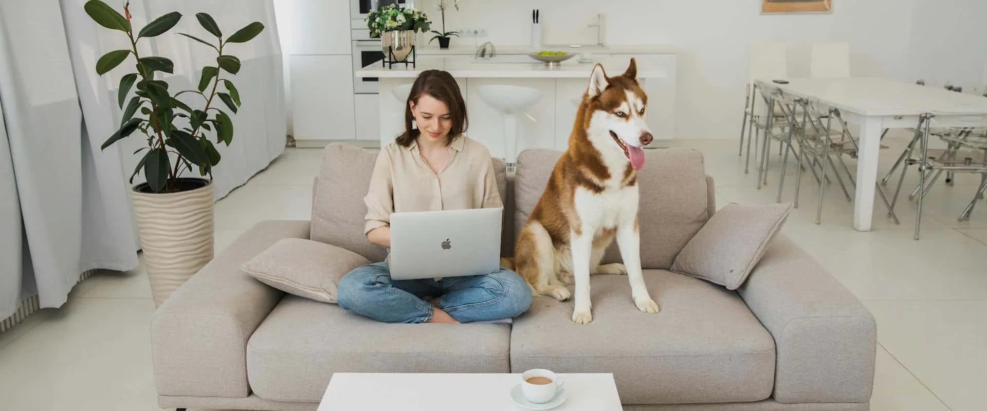 🐶 В Москве самые лояльные арендодатели: 41% квартир готовы сдавать жильцам с домашними животными.

