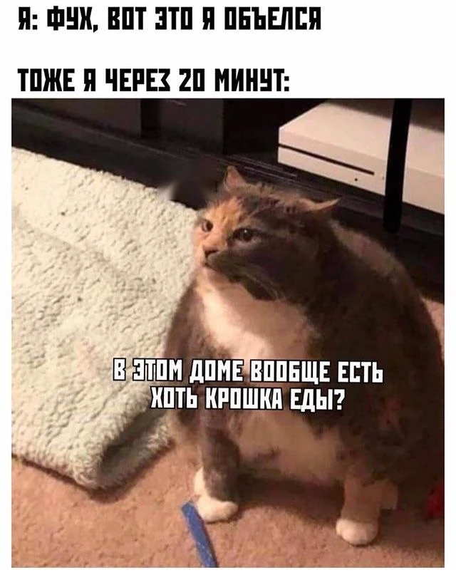 😁

Котаны • подписаться 
Наш второй канал • Пушистики