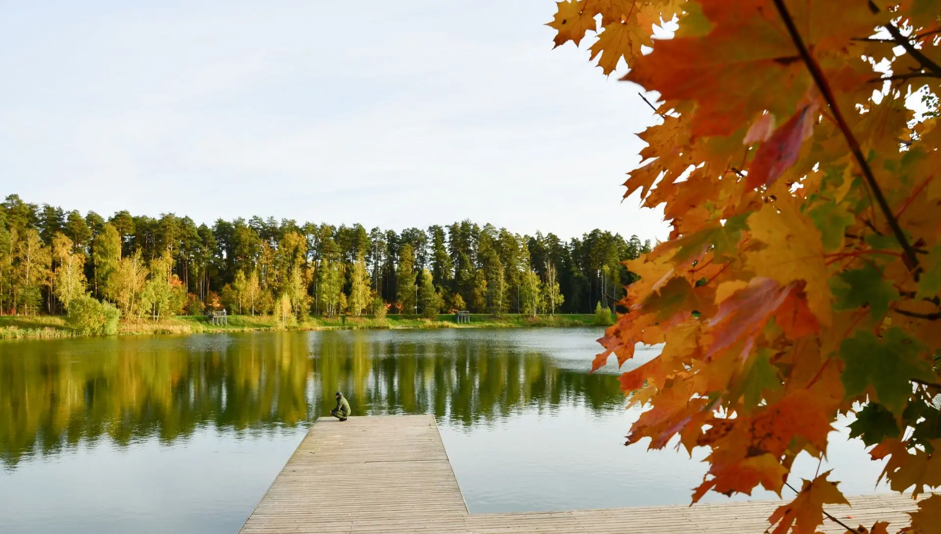 Все та же прекрасная 🍁