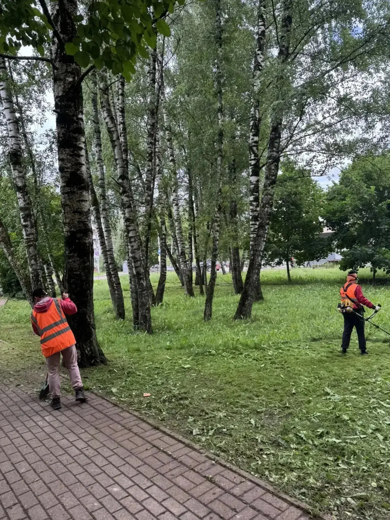 Нынешняя погода - просто сказка для активного роста травы. 

☝🏻Поэтому работаем с утра до вечера. Т
