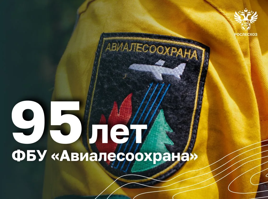 Уважаемые коллеги!