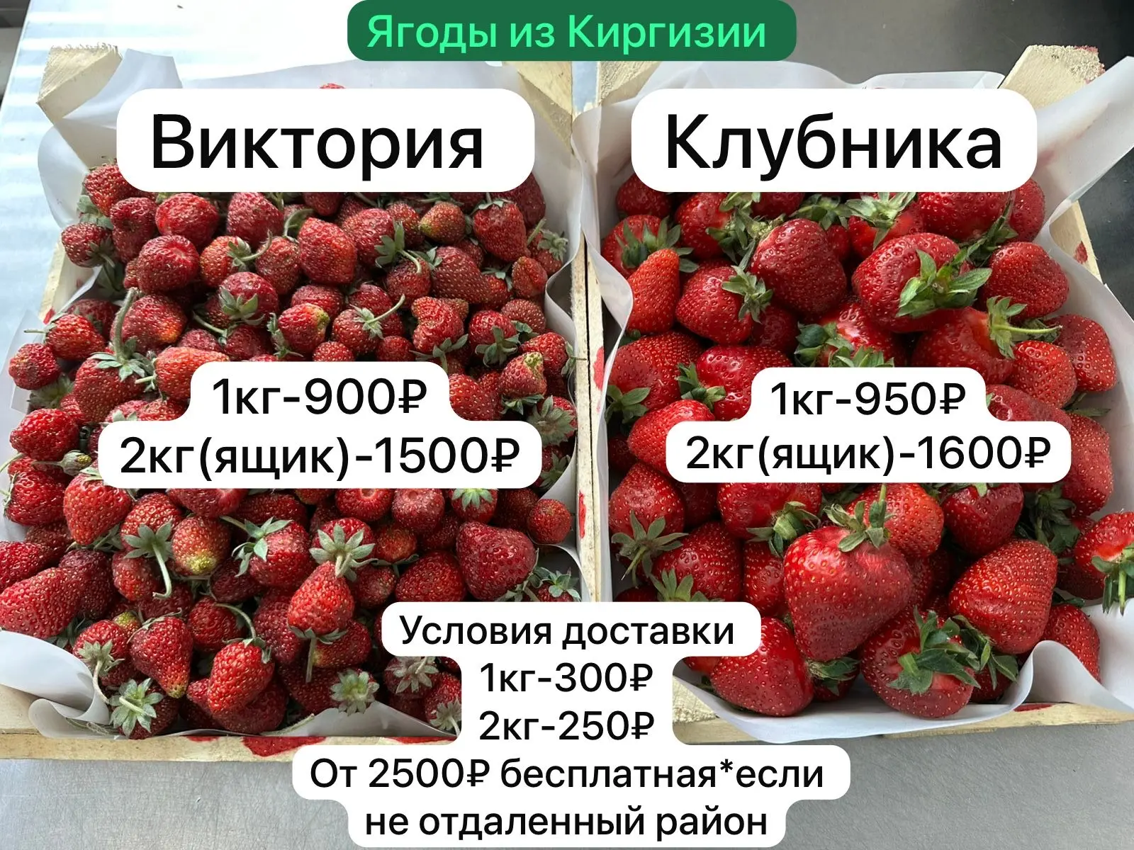 13 мая поступление ягод из Киргизии