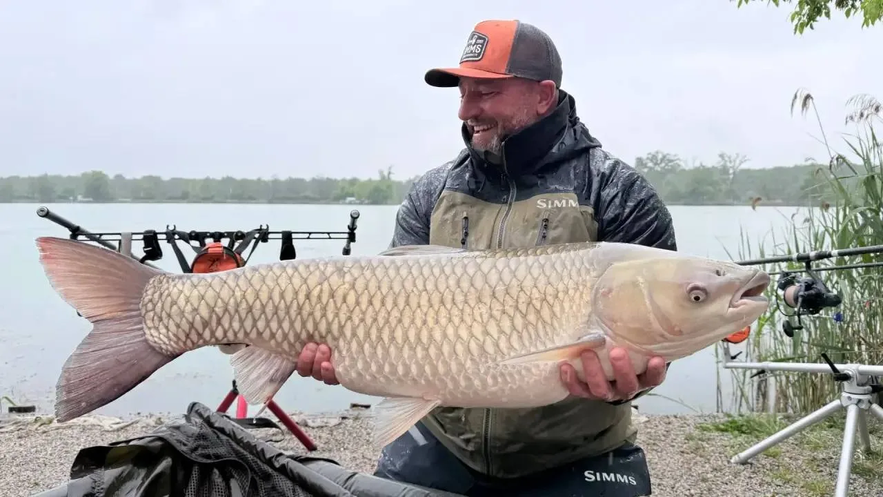 🤔 ПРЕДСТАВИМ СИТУАЦИЮ: НА ДРУГОМ БЕРЕГУ ПОКЛЁВКИ, А У ТЕБЯ — ТИШИНА. 🎣