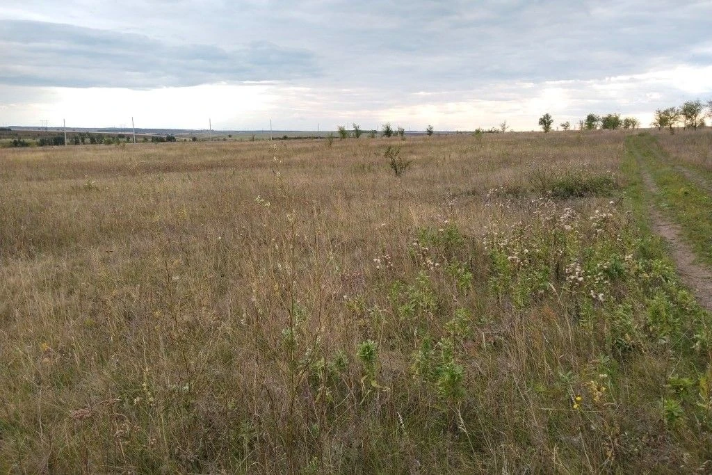 🚜 153 га возвращены в оборот

Благодаря профилактической работе Управления Россельхознадзора в Сама