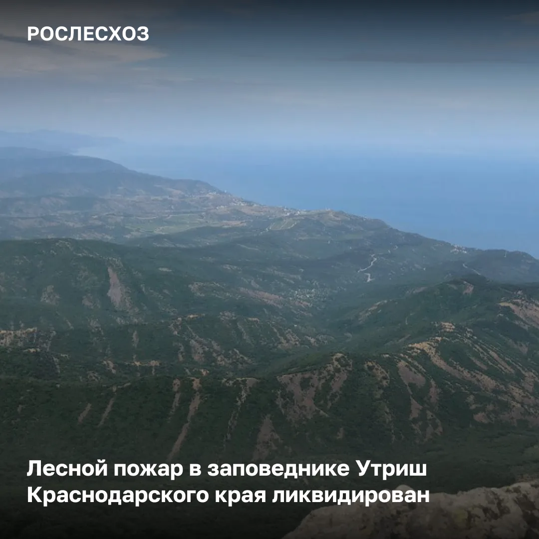 🟢 На 12:00 мск 28 августа лесной пожар в заповеднике Утриш в Краснодарском крае полнос...