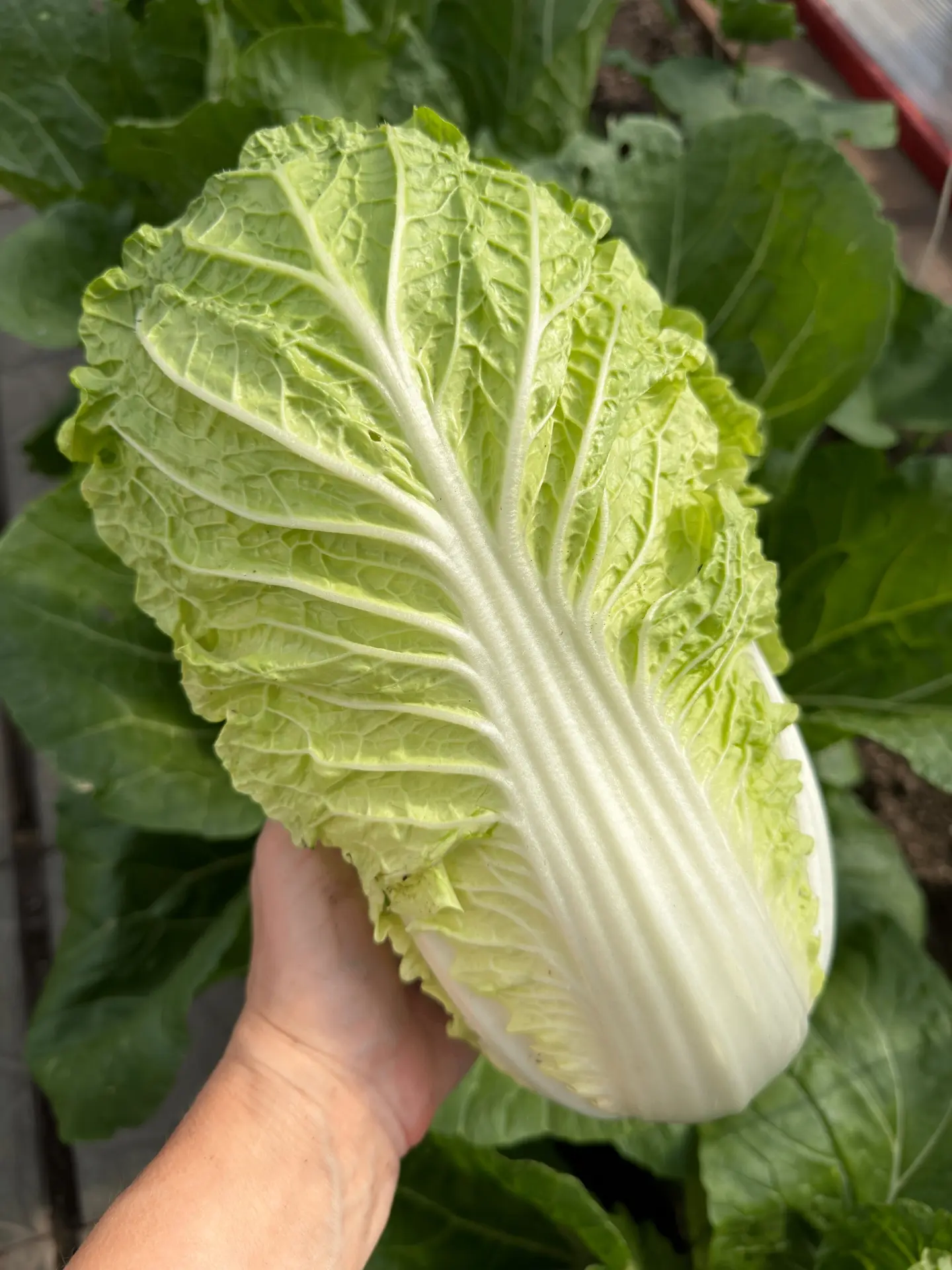 🌱 Лето начинается не с даты в календаре.