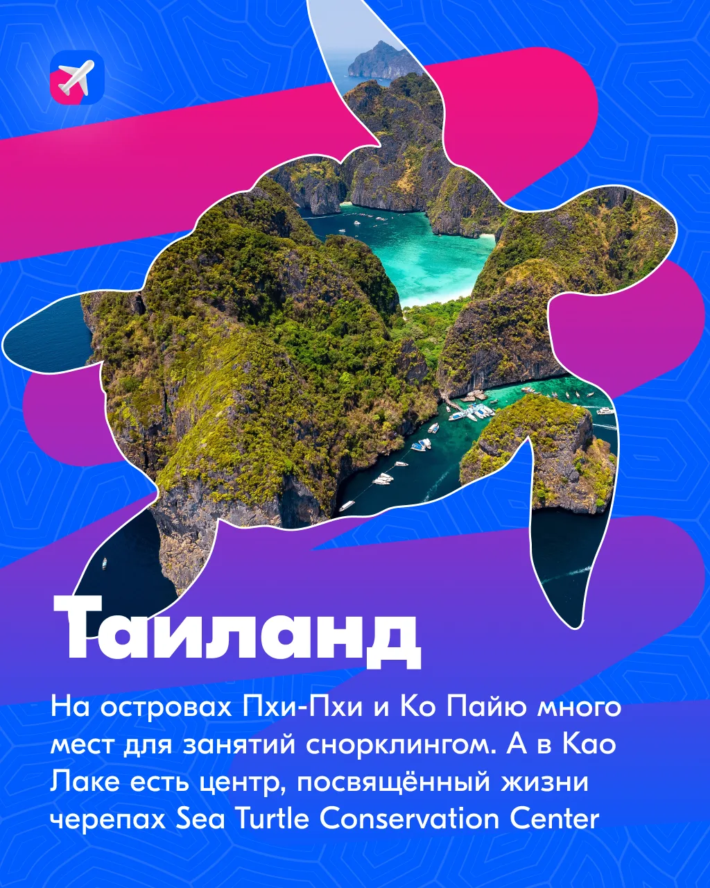 🐢 А если мы скажем, что День черепах существует, и празднуют его сегодня — 23 мая?  ✨ Нам кажется, т