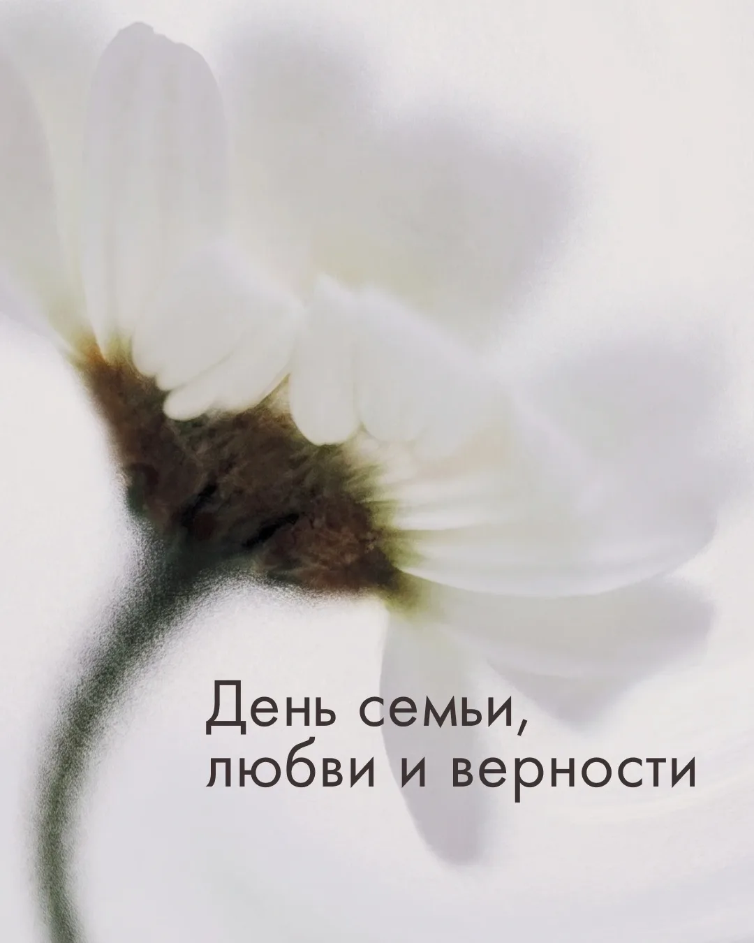Сегодня, 8 июля, — День семьи, любви и верности.