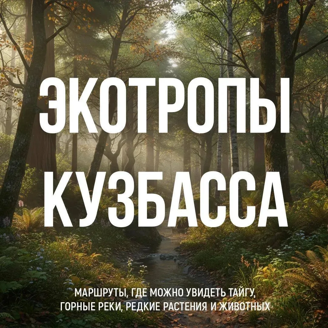 🌳 Лучший способ познакомиться с природой Кузбасса — отправиться по экотропе.
⁣
Здесь каждый маршрут