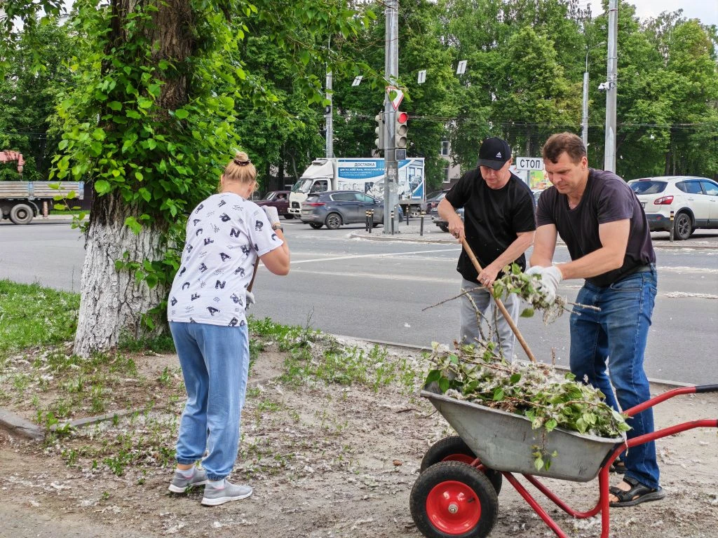 🌳 Вклад в чистое будущее: сотрудники  ЦХИ г. Пензы присоединились к областному субботнику