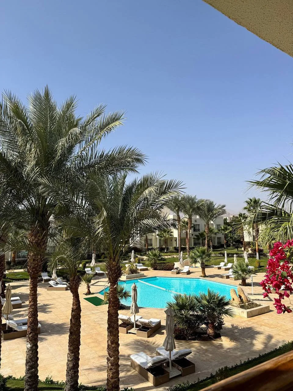📍Swissotel Sharm El Sheikh 5*
Качественный отель в Шарме 

Swissotel Sharm El Sheikh 5* находится п