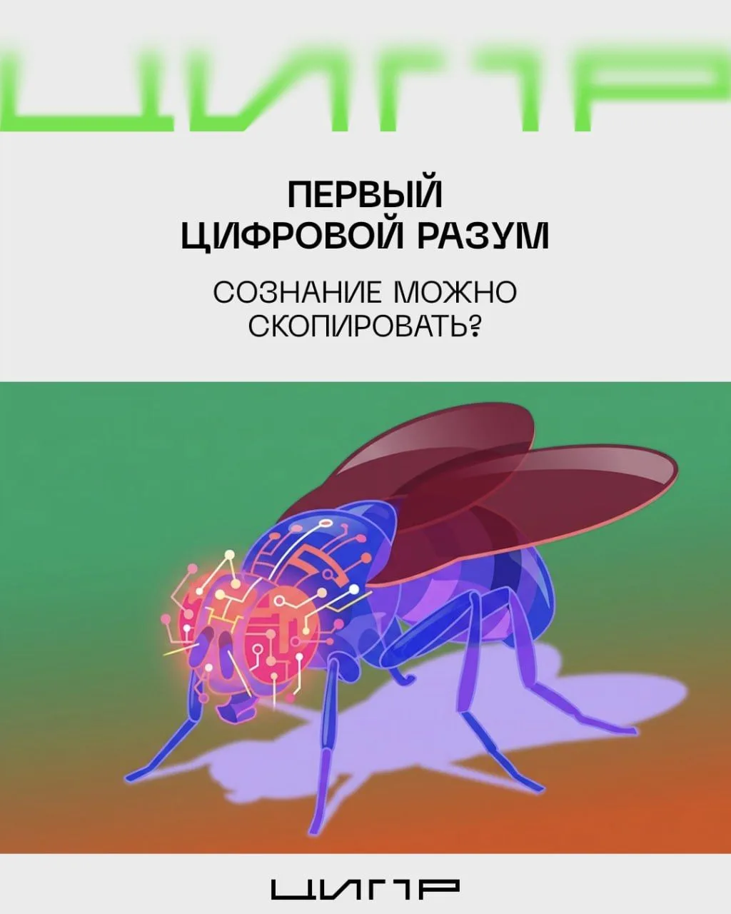 🪰 Граница между биологией и кодом стирается. В этом году впервые в истории учёным удал...