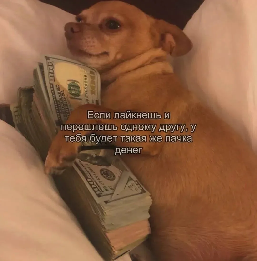 💯