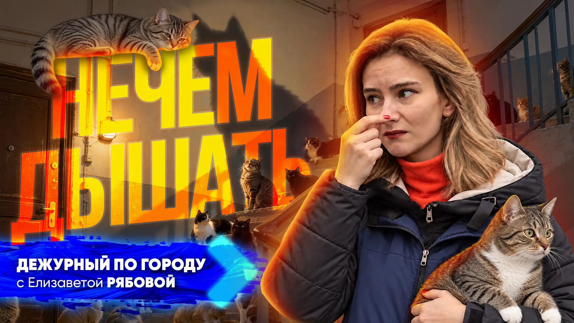 🤢Дышать нечем. Как запах кошачьих туалетов выживает горожан из квартир? | ДПГ. Неделя