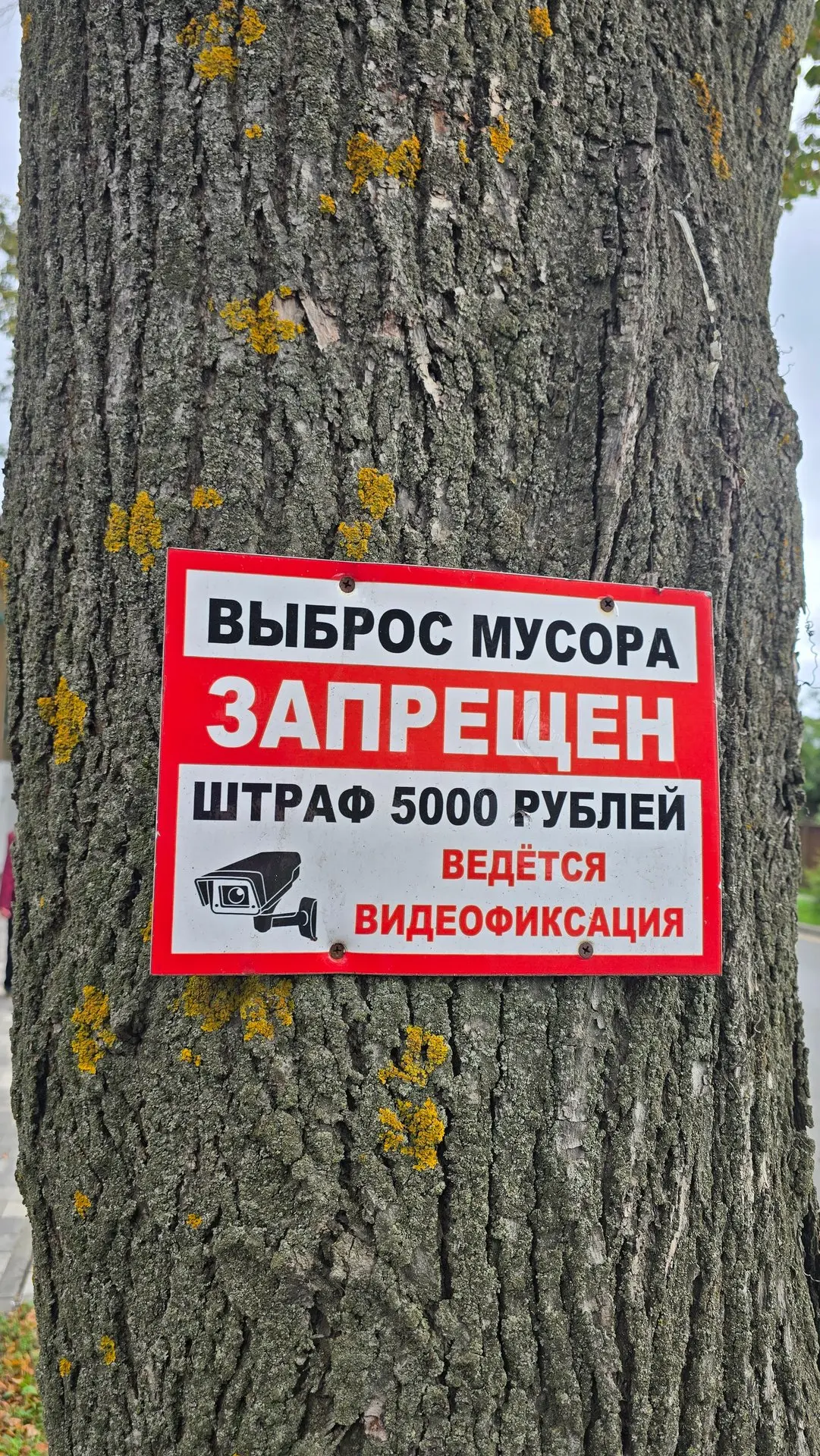 У нас во дворах совсем уже пенсионеры озверели?!