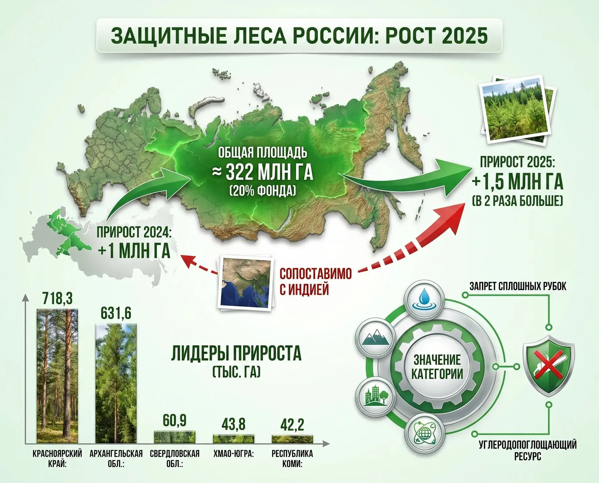 Защитные леса России выросли на 1,5 млн га