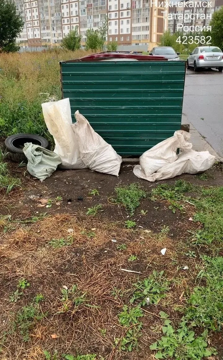 Чистота начинается с нас! ✨