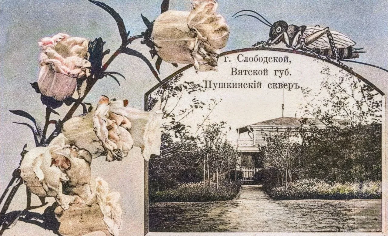 📸Креатив начала XX в. Открытки с видами уездных городов Вятской губернии. Их отправлял...