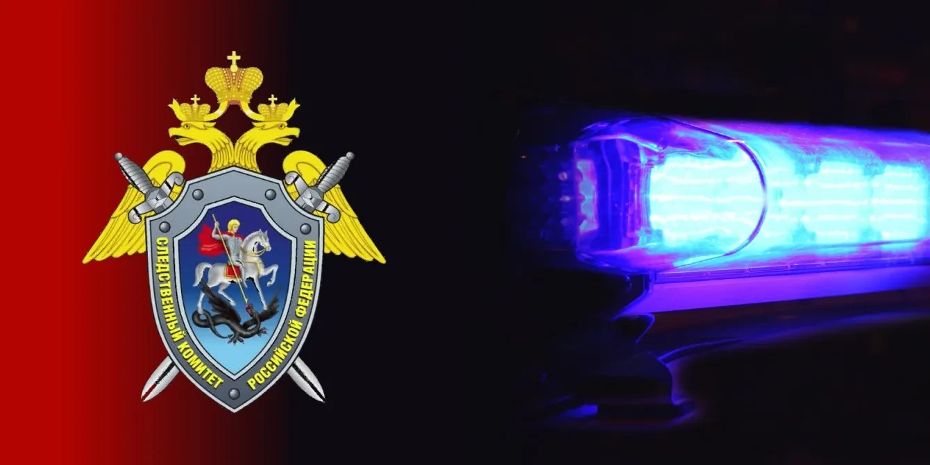 В Гатчинском районе произошло убийство