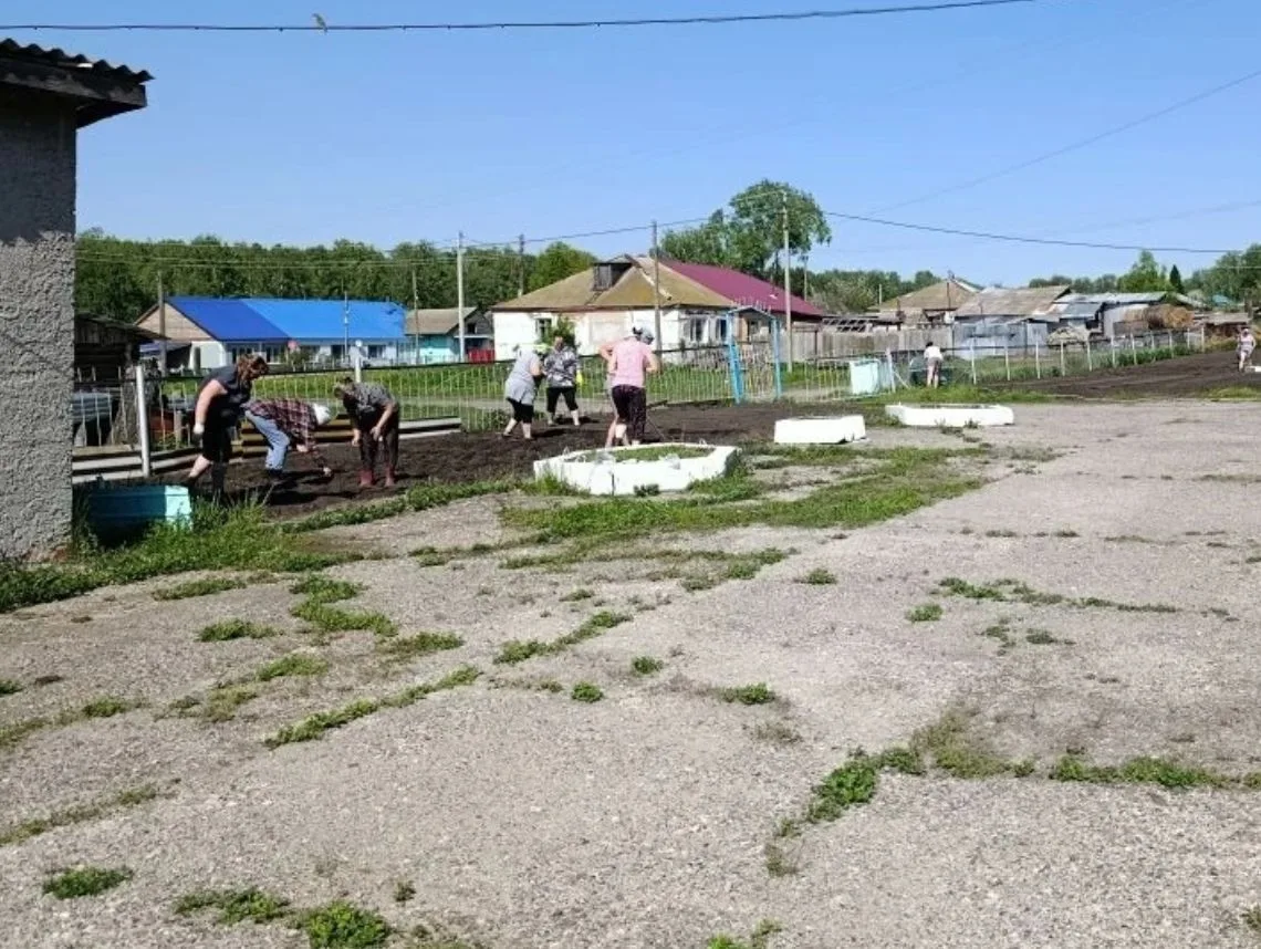 Посадили огород,