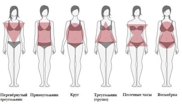 🎀Как определить свой тип фигуры