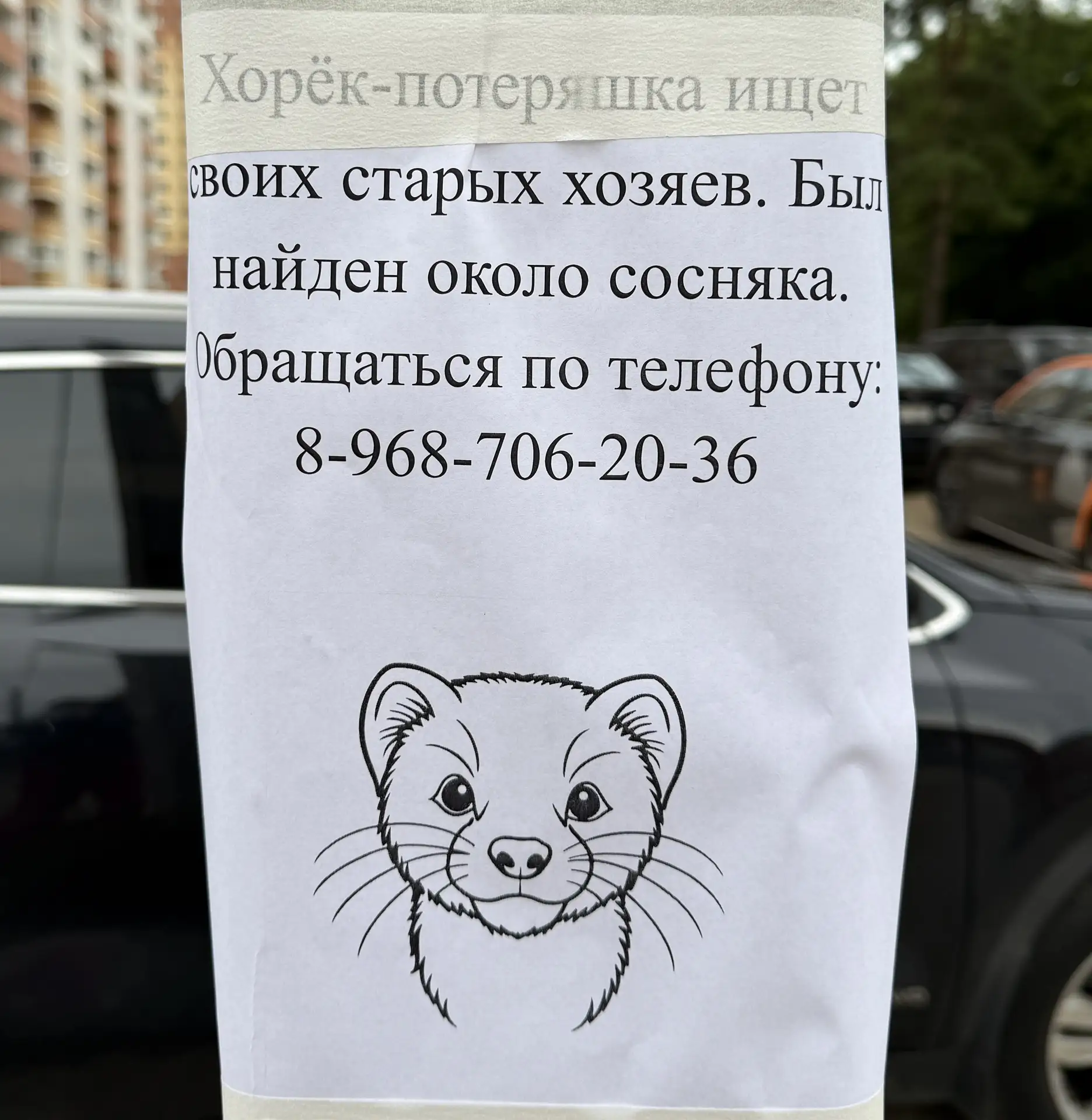 Такое фото, как будто особо опасный преступник сбежал 😸 Хотя…. Я жила однажды под одно...
