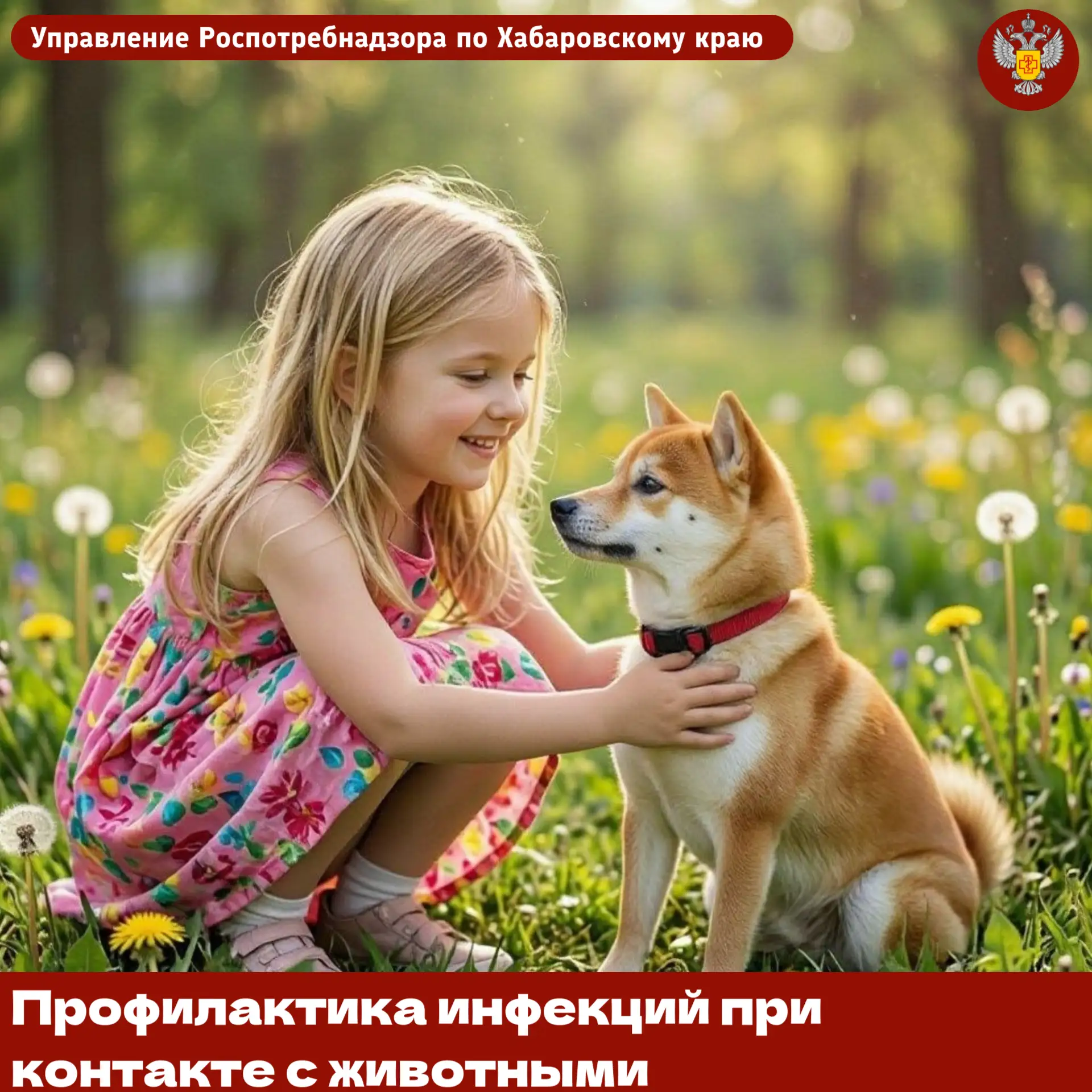 🐱🐶Профилактика инфекций при контакте с животными