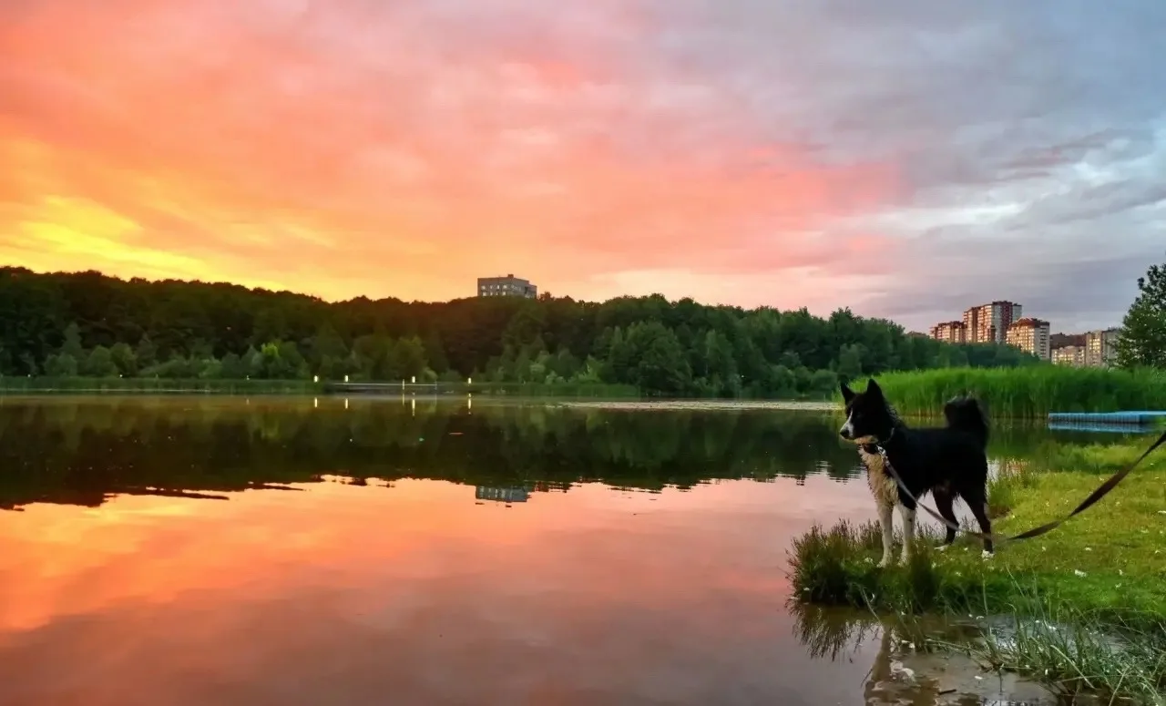 Красивый вечер в Балашихе 💕