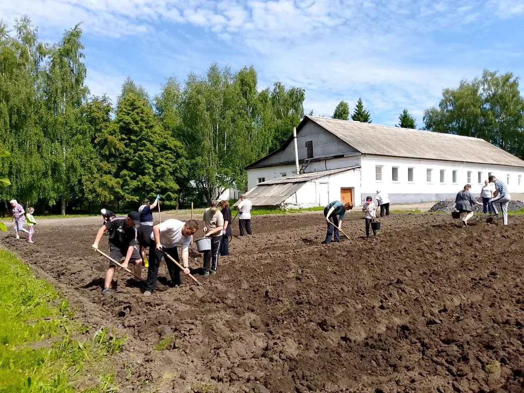 Продолжаем школьную традицию: сегодня мы посадили огород! Осенью будем собирать урожай ...