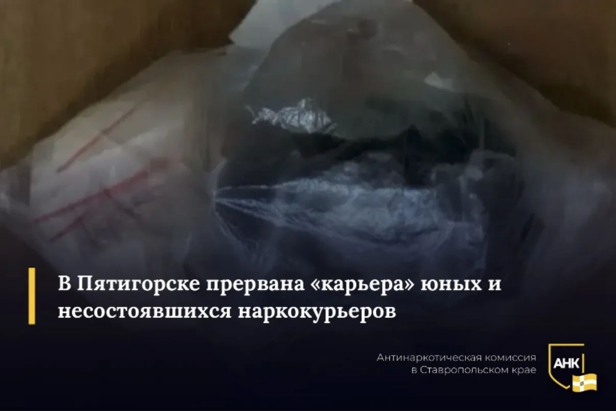 В Пятигорске сорвана очередная попытка «лёгкого заработка» двух местных жителей 20 и 17 лет, обвиняе