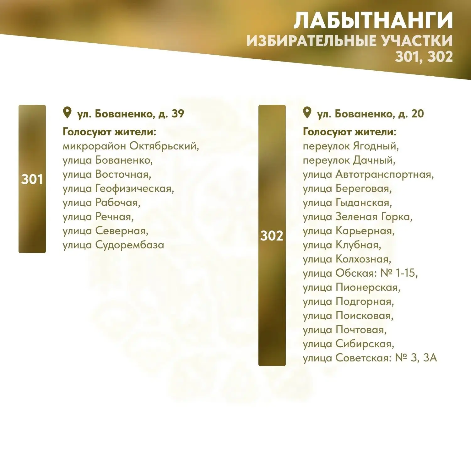 🗳️ Где голосовать?