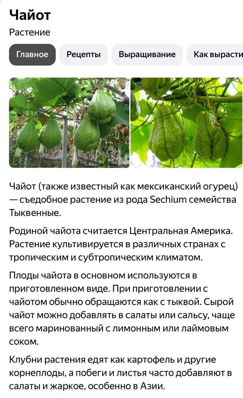Будет шашлычок на вечер