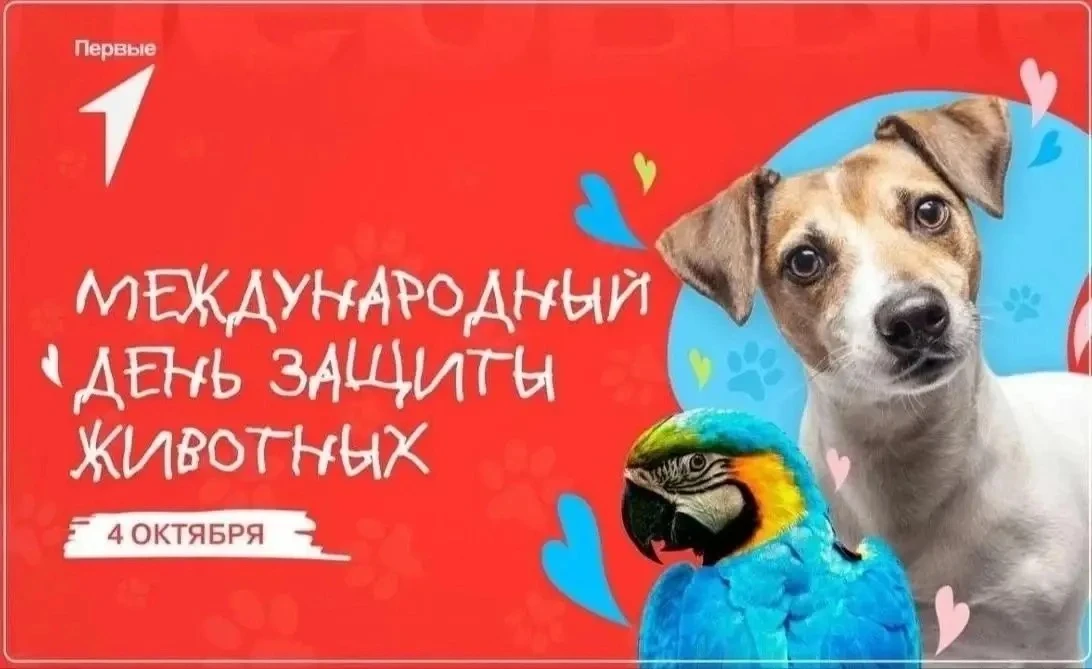 💫 Маленькие поступки с большим сердцем: наша акция ко Дню защиты животных 🐾