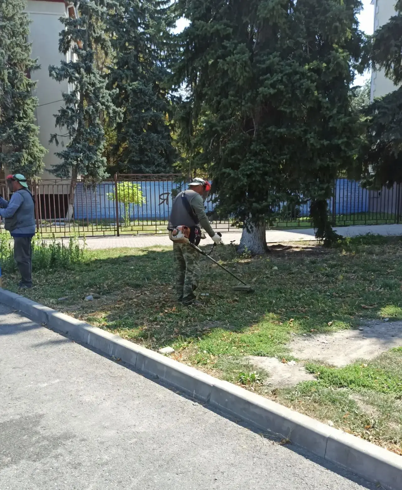 Приступили к косьбе травы на ул. Красноармейской🌱