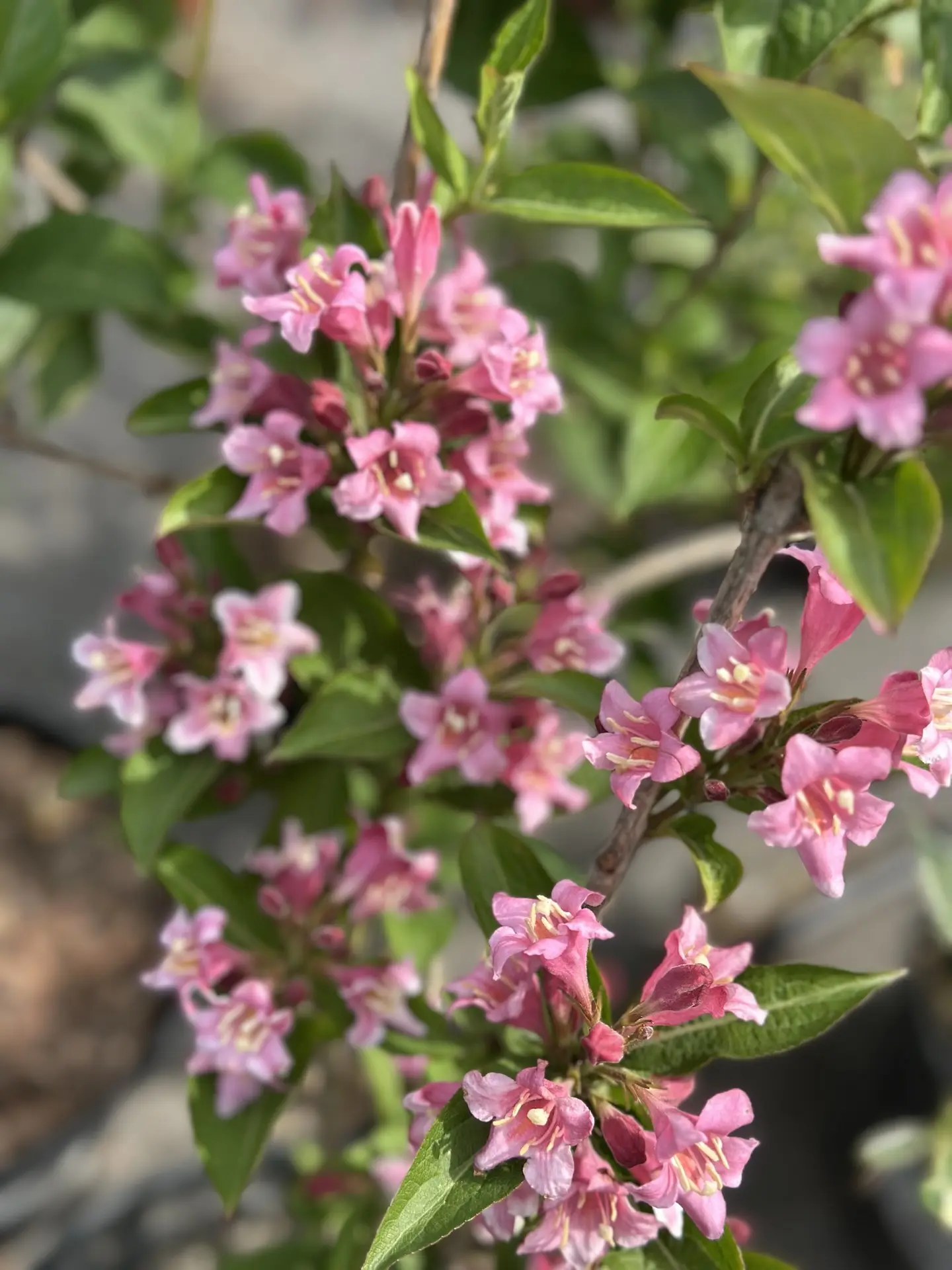 Друзья, входим в рабочий режим после праздников!🥰