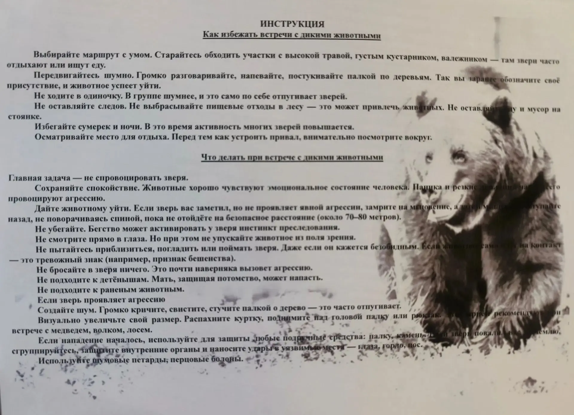 Как избежать встречи с дикими животными и что делать при встрече с дикими животными.