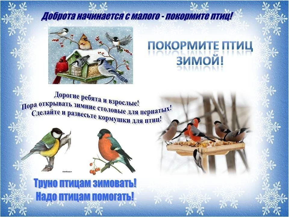 Приглашаем присоединиться к акции "Помогите нашим пернатым друзьям!"                                
