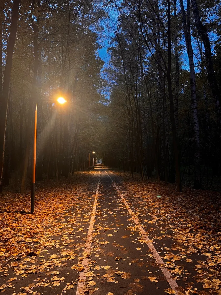 Вечерний свет, тихая дорога и осень вокруг 🍂