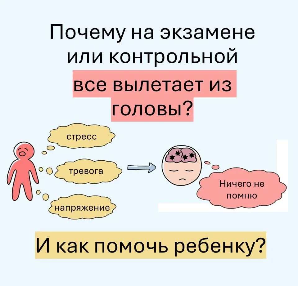 Почему ребёнок, который всё знал, на экзамене «тупит»?