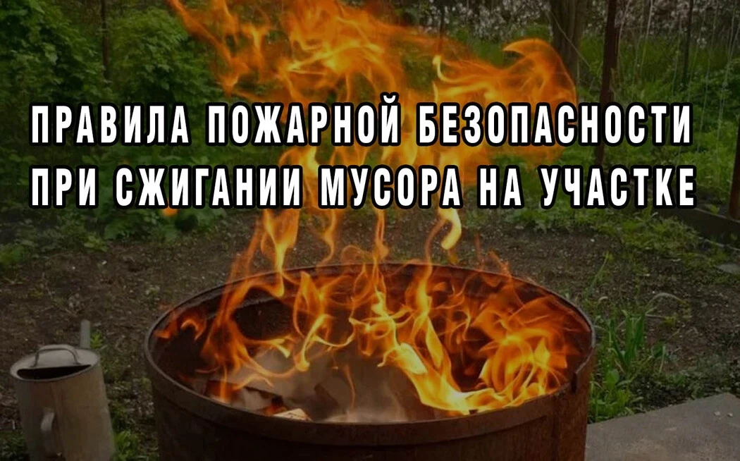 🍂 Жжём мусор на участке по правилам: что можно, чего нельзя и как не получить штраф.
