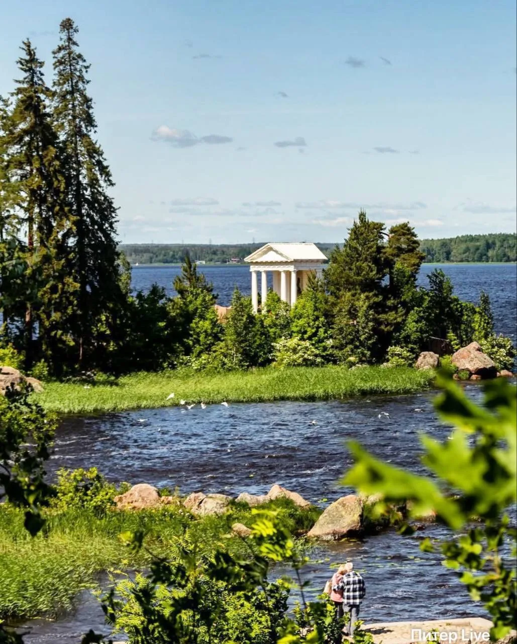 Вход станет бесплатным на один день в парке Монрепо 🌿