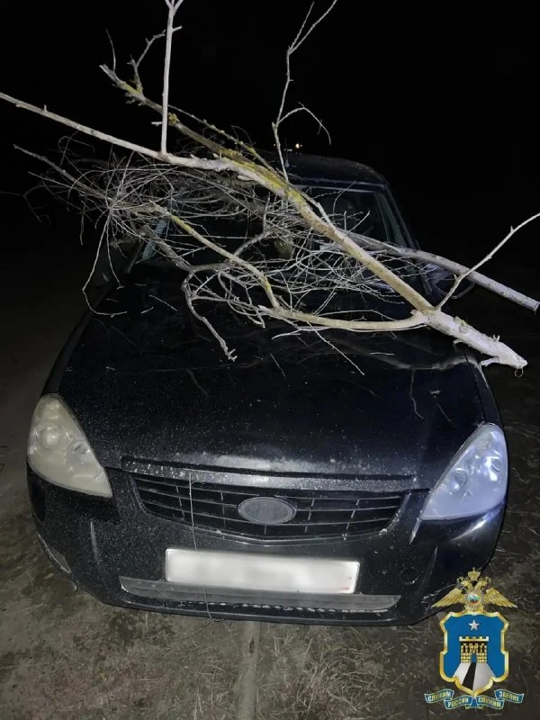 В Новоалександровском округе женщина разбила соседскую машину из-за ссоры

В хуторе Фельдмаршальский