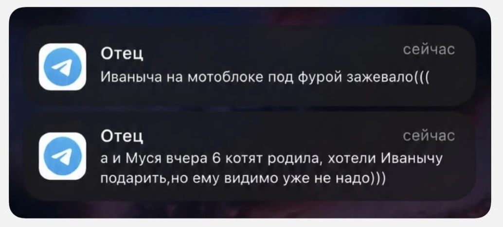 Если меня попросят описать русского батю: