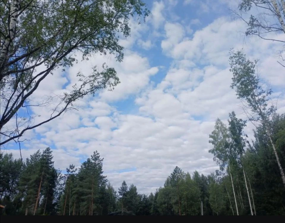 Лето - это капелька неба в ладонях, капелька света на ресницах… и капелька незабываемой жизни…

Добр