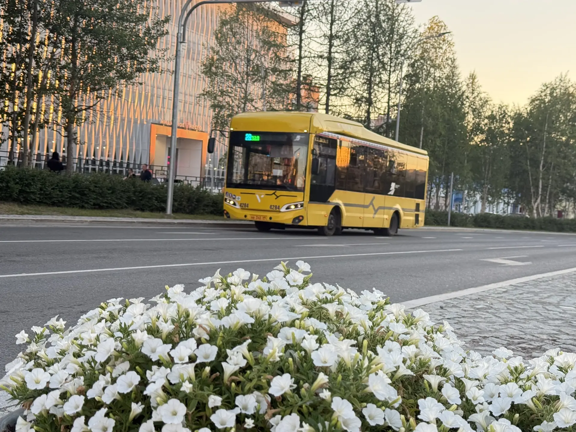 Город сам выстраивает кадр 💛✨