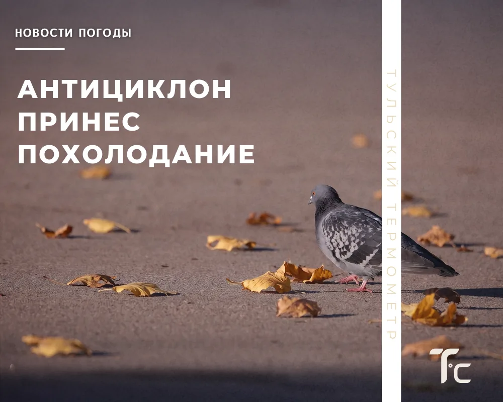 🥶 В регион зашел скандинавский антициклон, который постепенно меняет осеннее тепло на ...