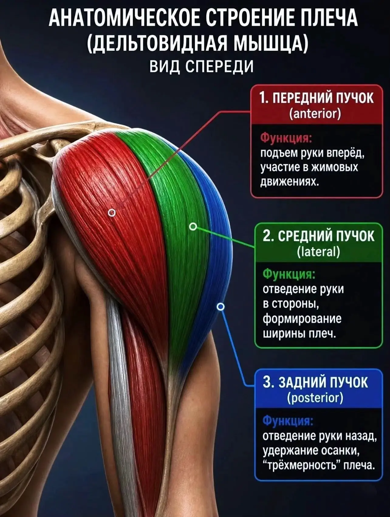 Подпишись на программы тренировок🔥
