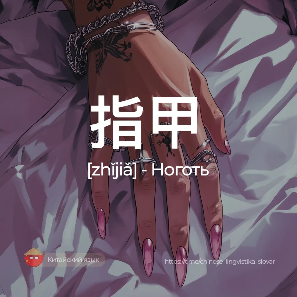 Ноготь — 指甲 [чжицзя]