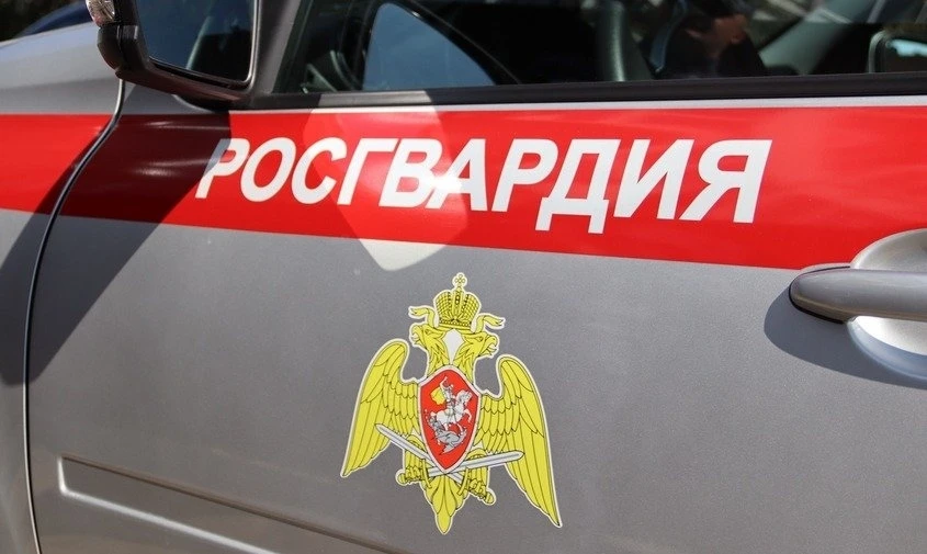 🚔 Двигался неуверенно и выезжал на «встречку»: в амурском селе задержали пьяного водителя  В Тамбовк